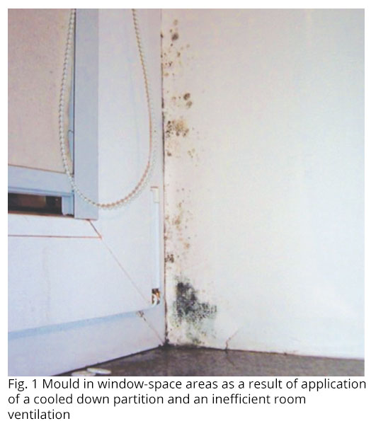 Mould in window-space areas as a result of application of a cooled down partition and an inefficient room ventilation